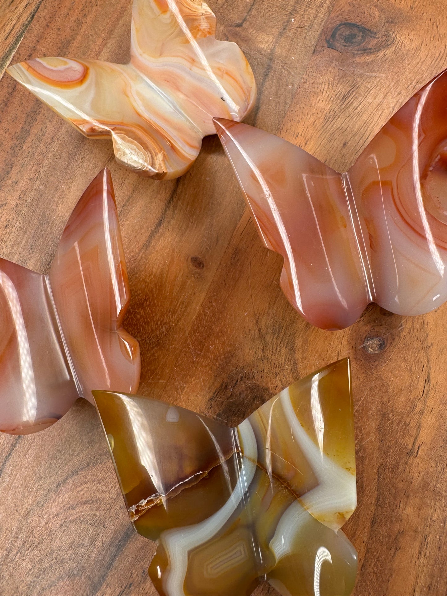 Carnelian 3D Butterflies