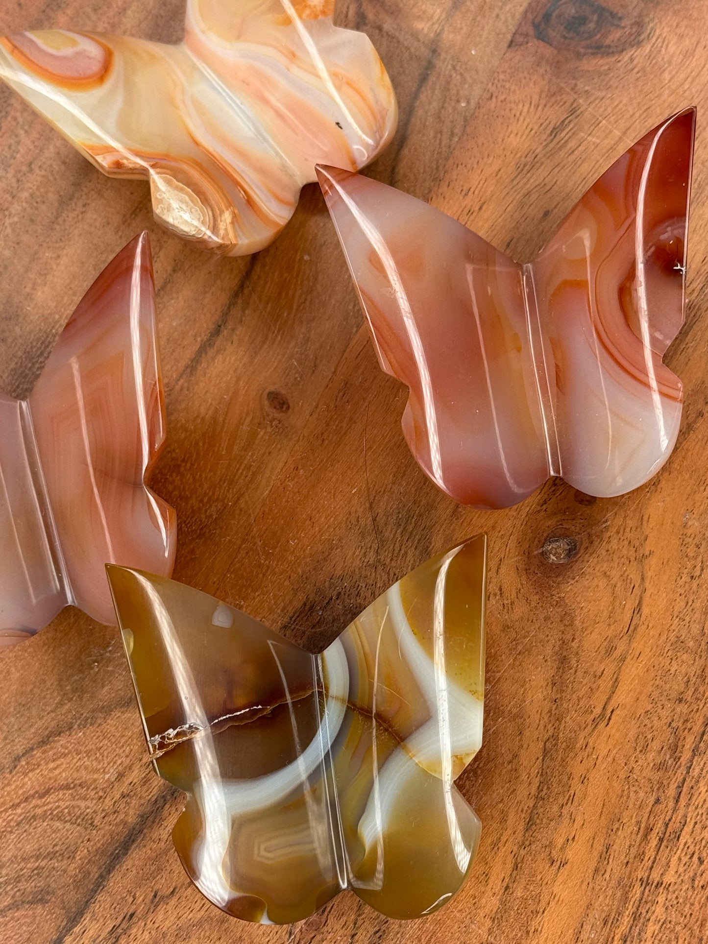 Carnelian 3D Butterflies