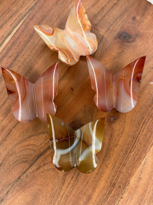 Carnelian 3D Butterflies