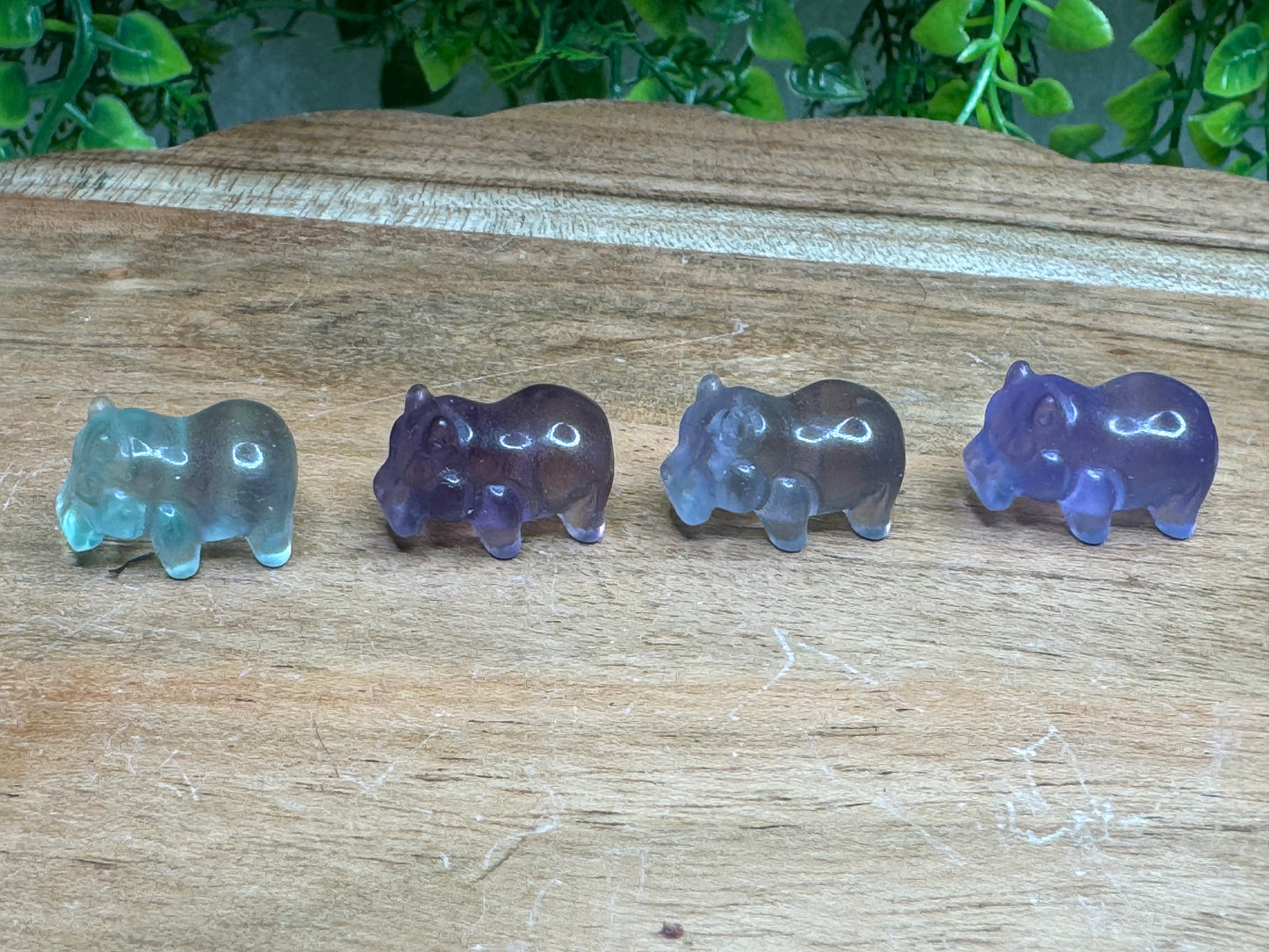 Mini Fluorite Hippo Carving