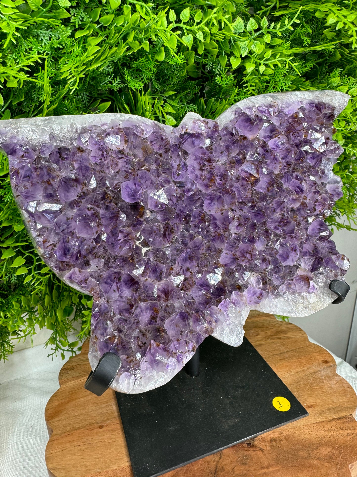 Brazilian Amethyst Butterfly statement