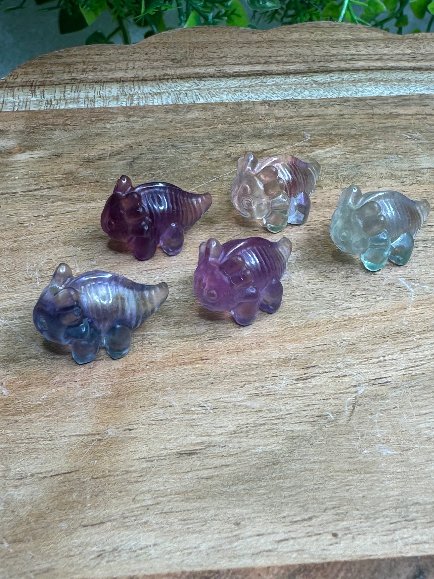 Mini Fluorite Axolotl Carving