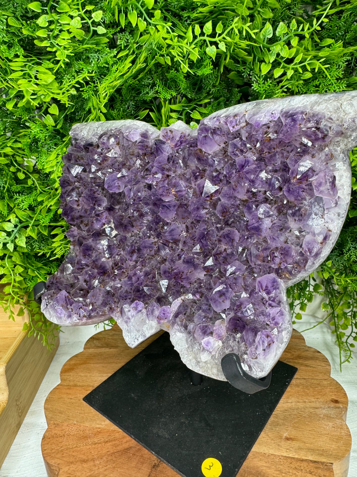 Brazilian Amethyst Butterfly statement