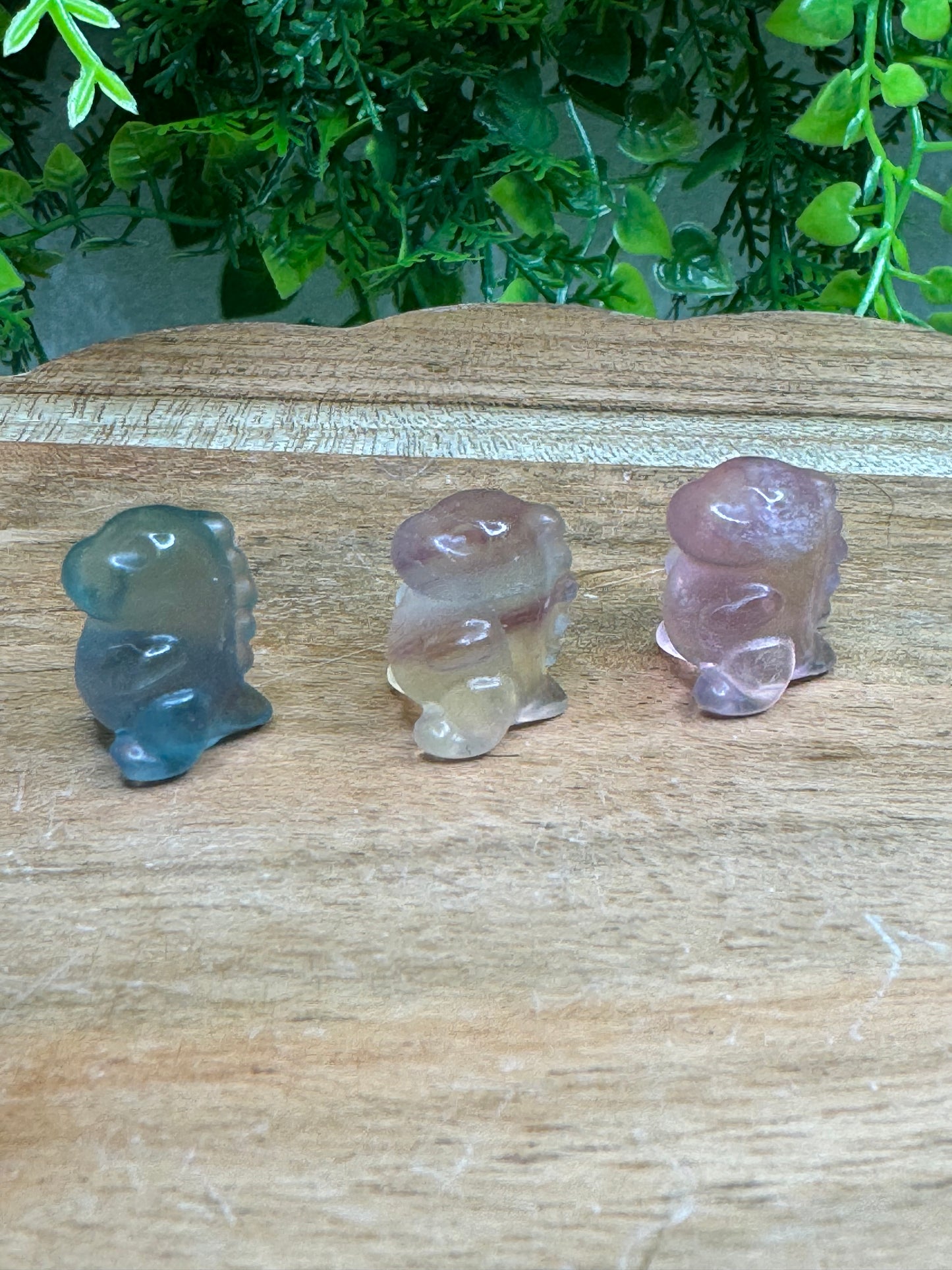 Mini Fluorite Chubby Dino Carving