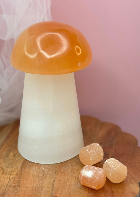 Selenite mushroom lamps