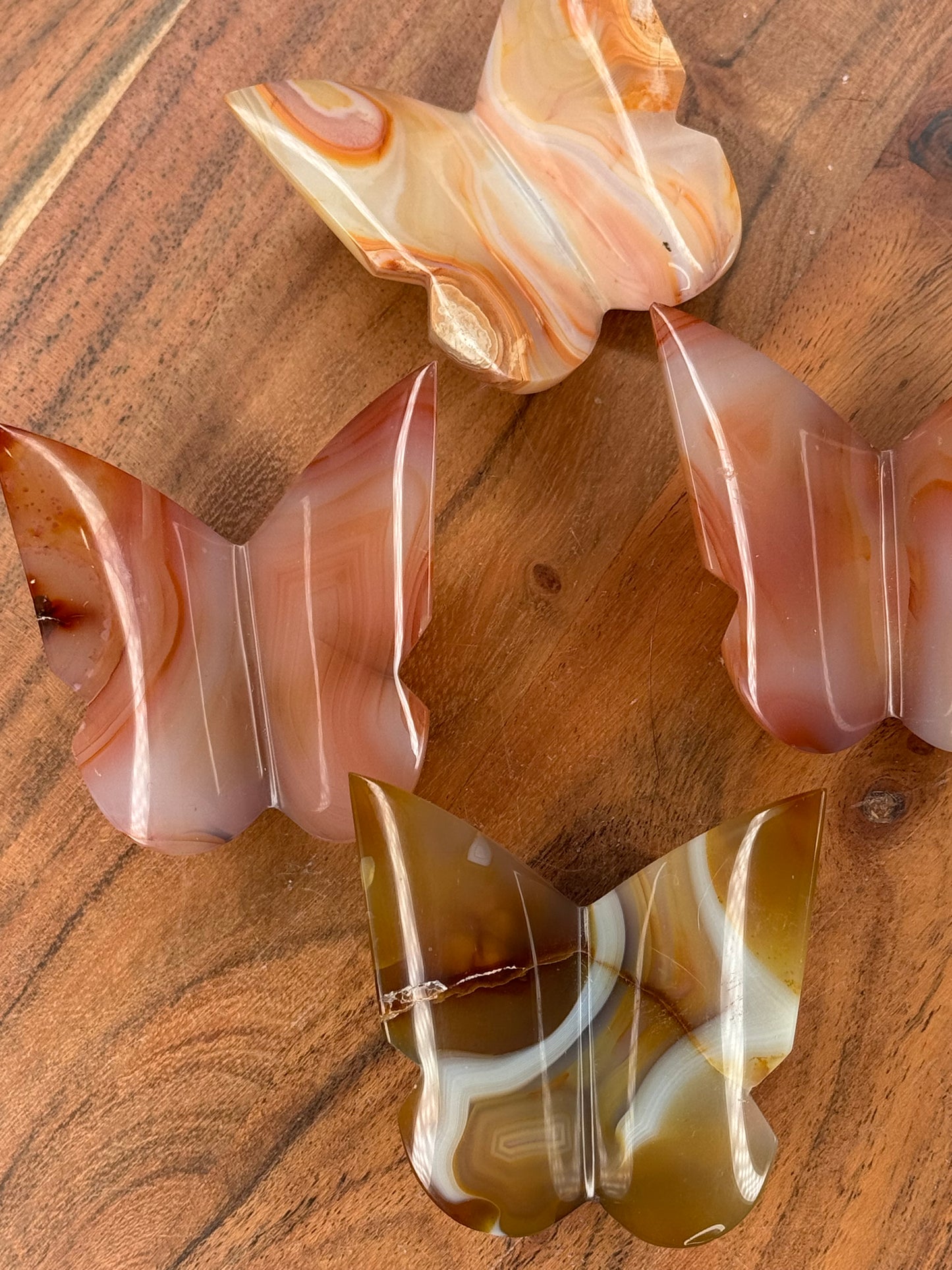 Carnelian 3D Butterflies