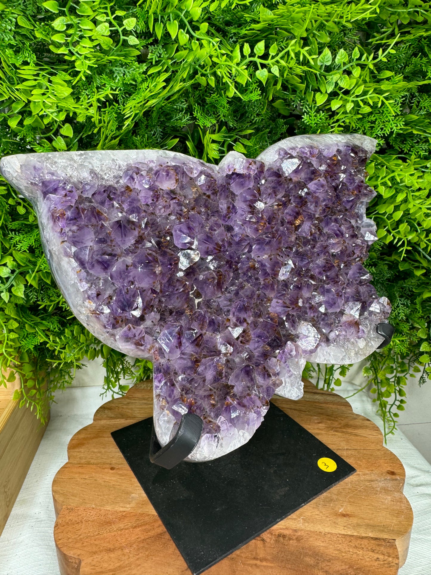 Brazilian Amethyst Butterfly statement