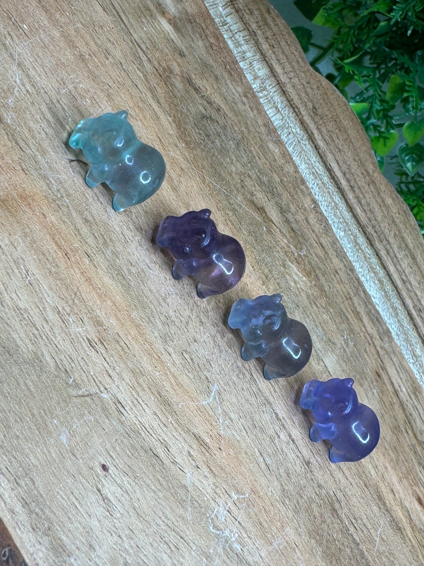 Mini Fluorite Hippo Carving