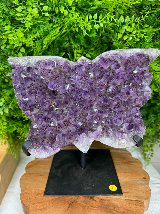 Brazilian Amethyst Butterfly statement