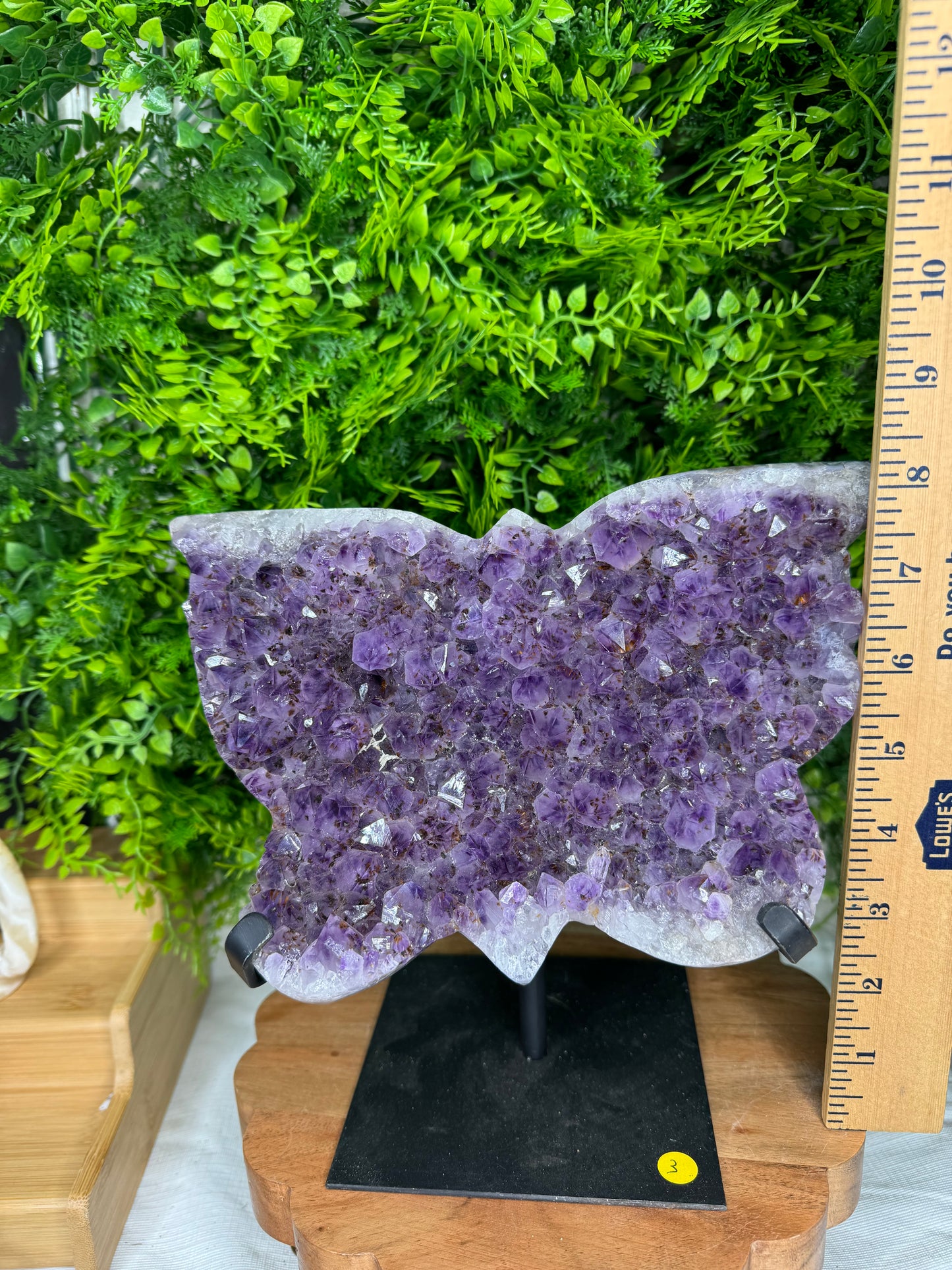 Brazilian Amethyst Butterfly statement