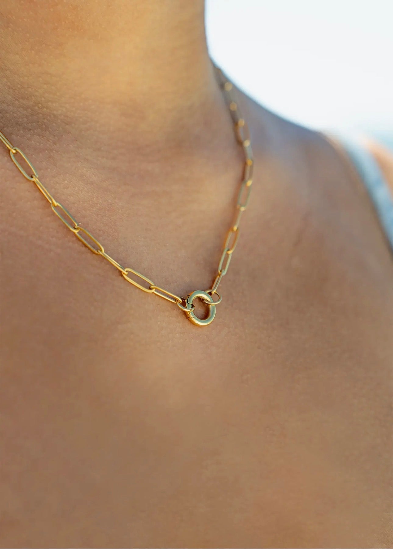 Paper Clip Carabiner Charm Base Necklace