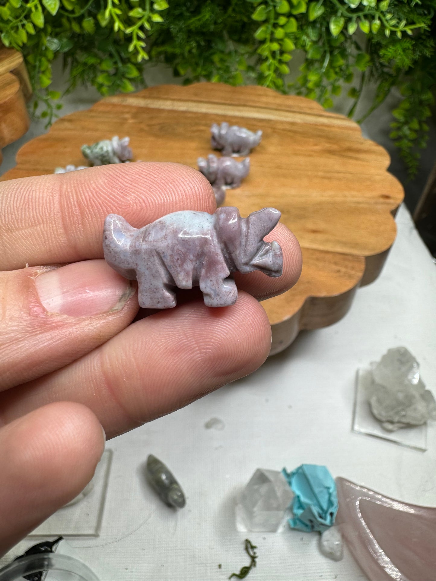 Mini Dino Carving