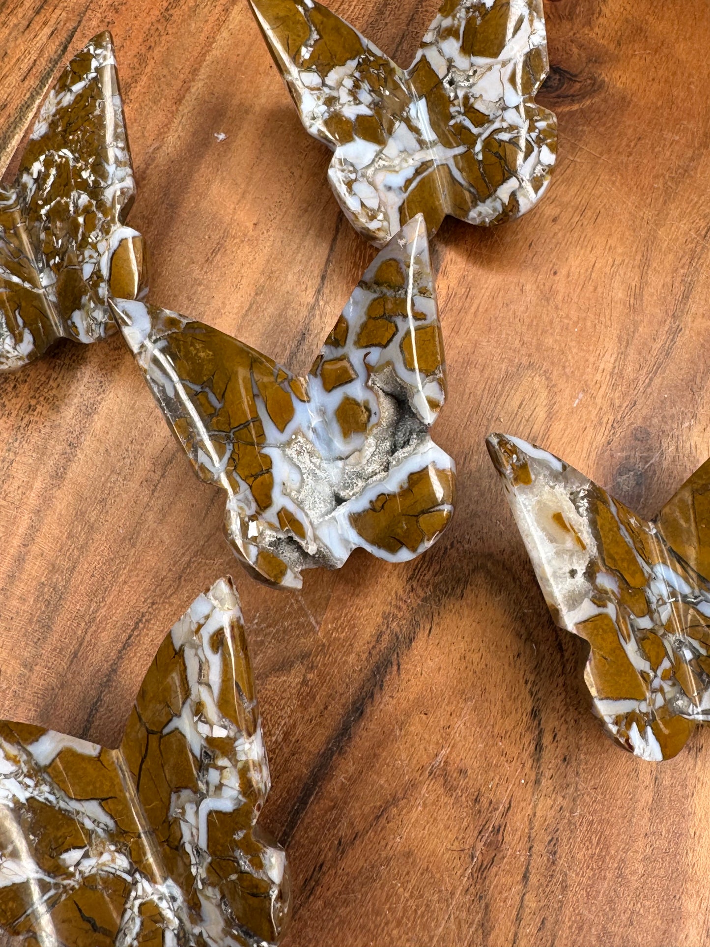 New Maligano Jasper 3D Butterflies