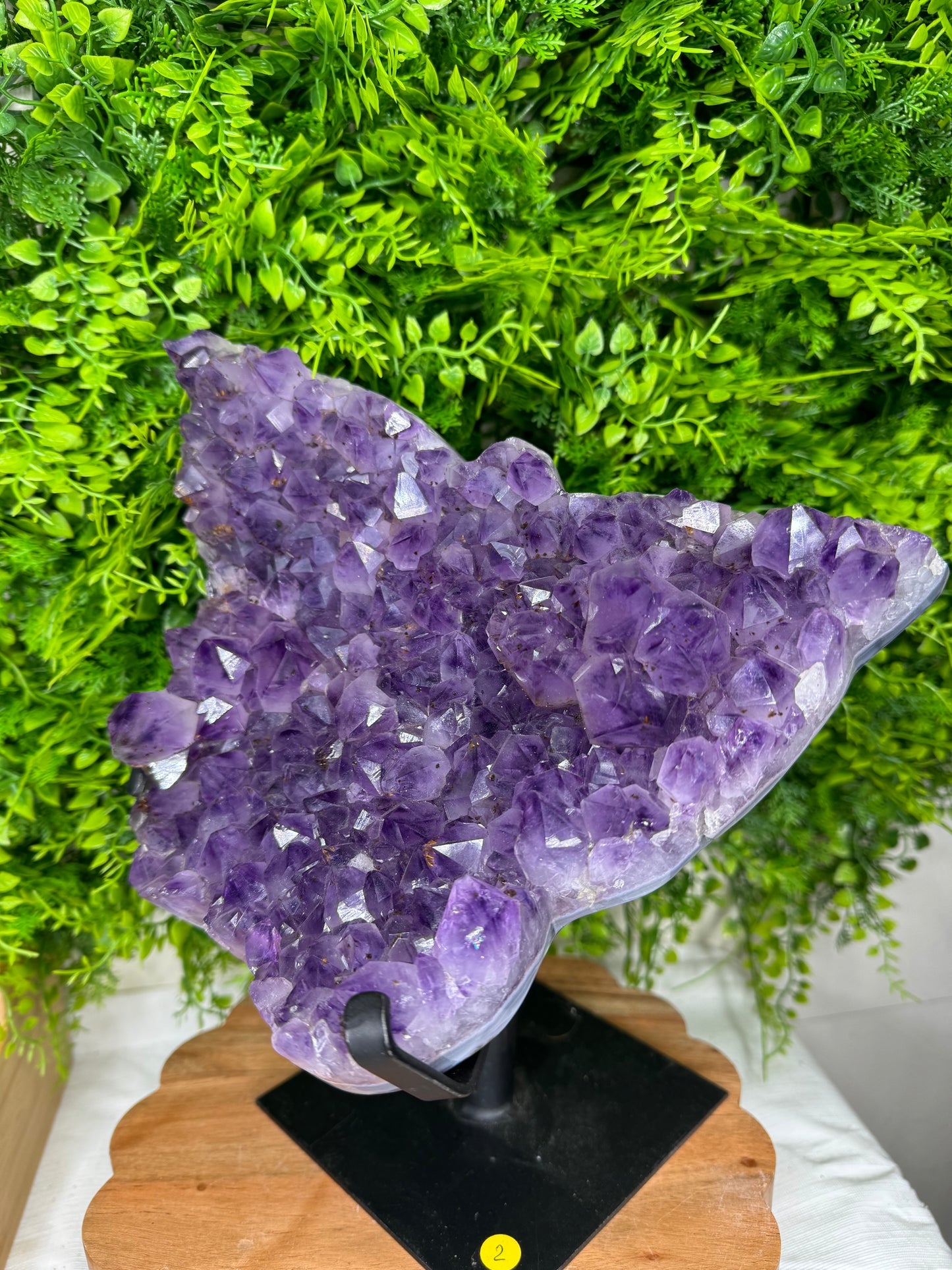 Brazilian Amethyst Butterfly statement